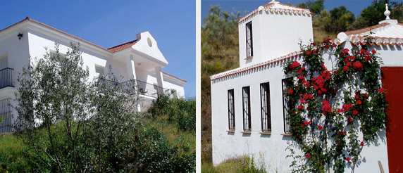 Macharaviaya